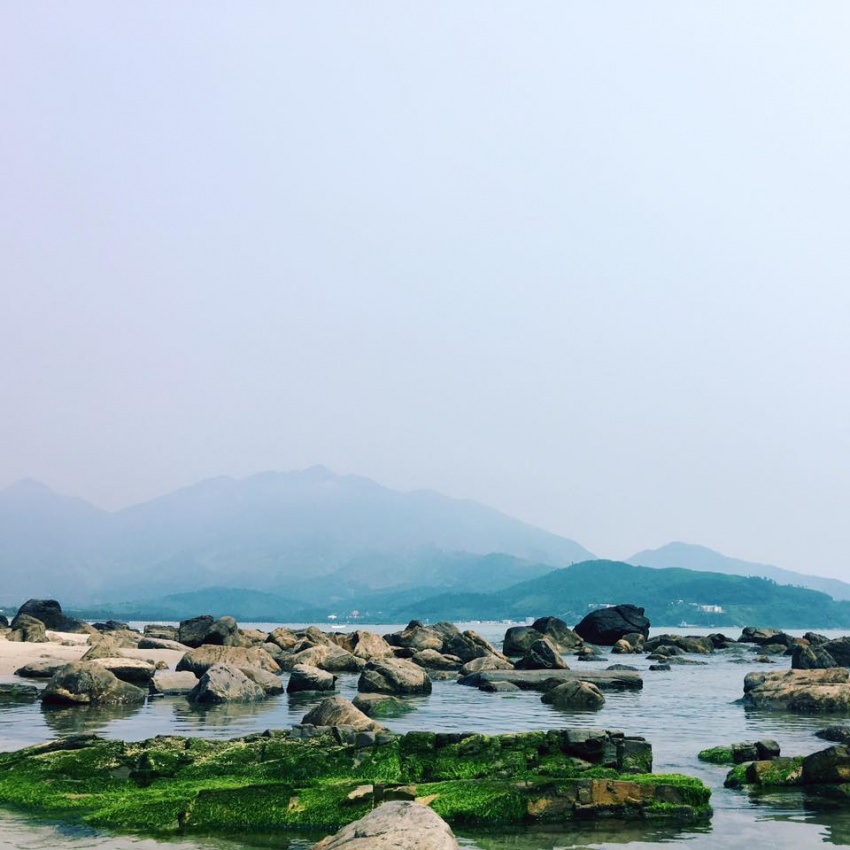 Thích mê “bãi đá rêu xanh” cho du khách đi Đà Nẵng
