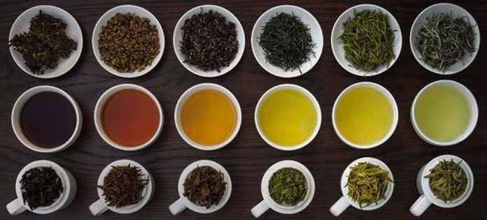 cách làm,   													các loại trà phổ biến nhất hiện nay, nguồn gốc và công dụng