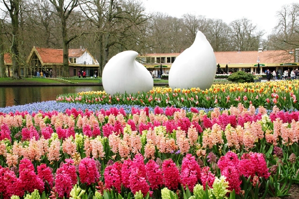 Top 10 địa điểm đẹp nhất Hà Lan bạn không thể bỏ qua