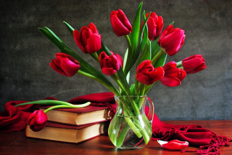 Top list 9  màu sắc đẹp nhất của hoa Tulip và ý nghĩa của chúng