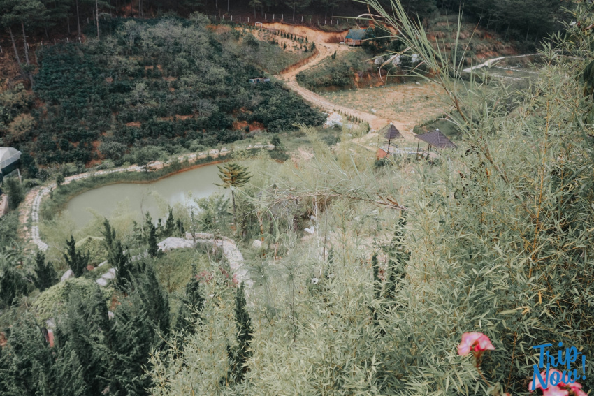 du lịch đà lạt, zen valley dalat, lạc lối khu resort gỗ ngập hoa có “hồ bơi view tràn thung lũng” ở đà lạt