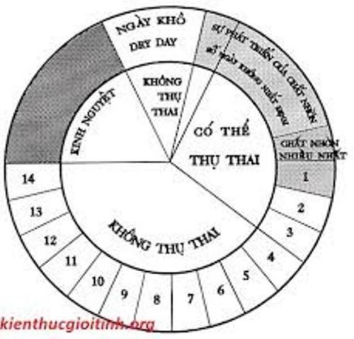 top list,  8 lời khuyên hữu ích giúp mang thai nhanh nhất