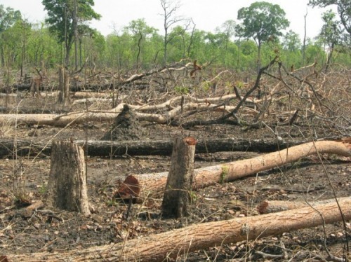 top list,  15 hành động phá hoại môi trường nghiêm trọng tại việt nam