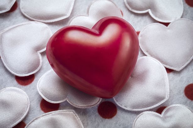 15  bài thơ chế hài hước hước nhất về ngày lễ tình yêu 14/2 của fa valentine