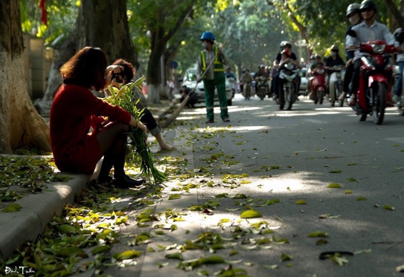 11  hình ảnh về người lao động đẹp nhất