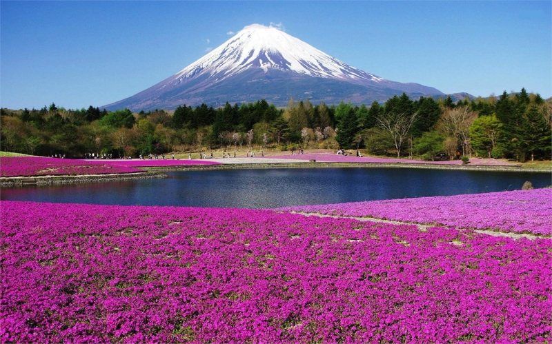 Top 10 Địa điểm du lịch thú vị nhất ở Nhật Bản