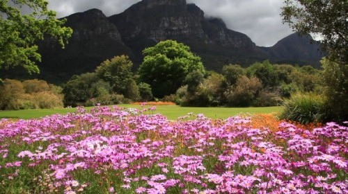 6 khu vườn ấn tượng nhất trên thế giới bạn nên đến một lần trong đời