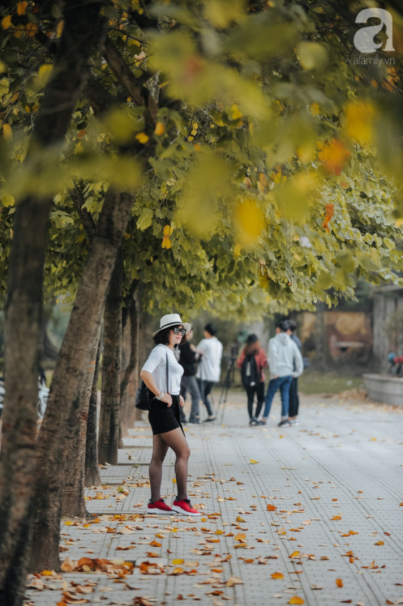 17 ngày nữa là hết năm, người hà nội ngỡ ngàng bắt gặp hoa ban trái mùa khoe sắc trong giá rét