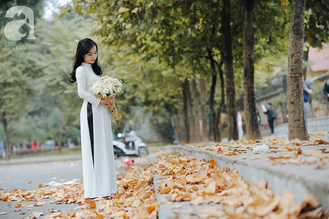 17 ngày nữa là hết năm, người hà nội ngỡ ngàng bắt gặp hoa ban trái mùa khoe sắc trong giá rét