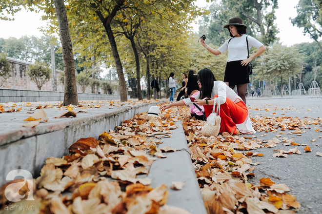 17 ngày nữa là hết năm, người hà nội ngỡ ngàng bắt gặp hoa ban trái mùa khoe sắc trong giá rét