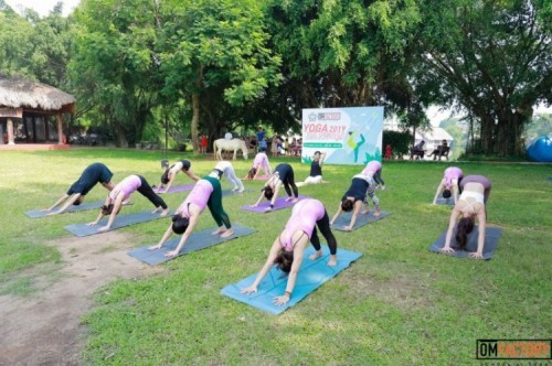 9 trung tâm dạy yoga tốt nhất tại Hà Nội