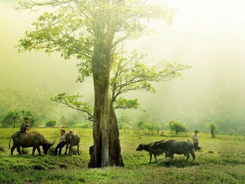 20 bài thơ hay của nhà thơ tống thu ngân