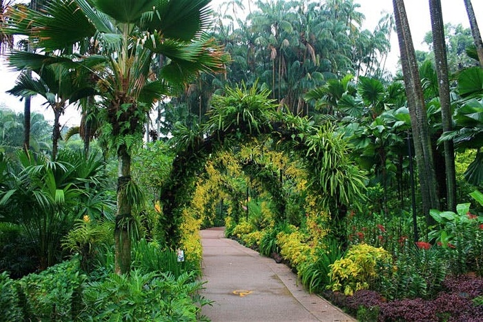 botanic gardens, check in, vườn miracle dubai, check-in những vườn thực vật kỳ diệu ngỡ như không có thật