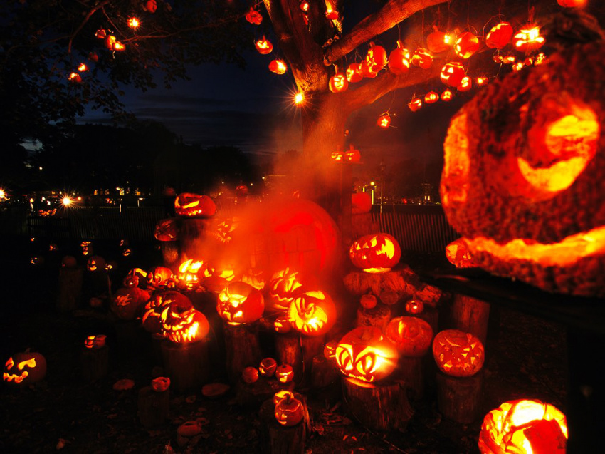 Khăn gói quả mướp hóa thây ma tại lễ hội Halloween siêu khủng tại Hạ Long