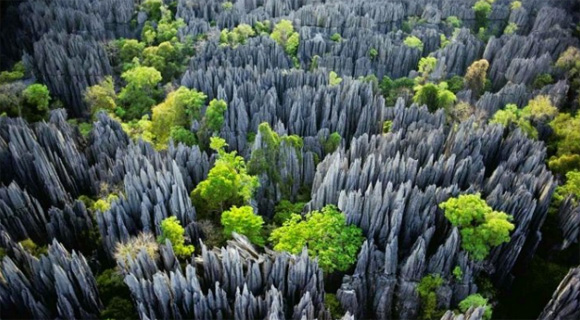 15 bosques mágicamente hermosos como salidos de un cuento de hadas