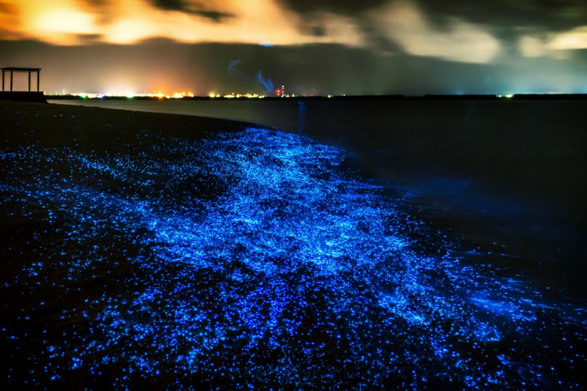 Mê hồn trước bãi biển phát sáng ở thiên đường Maldives