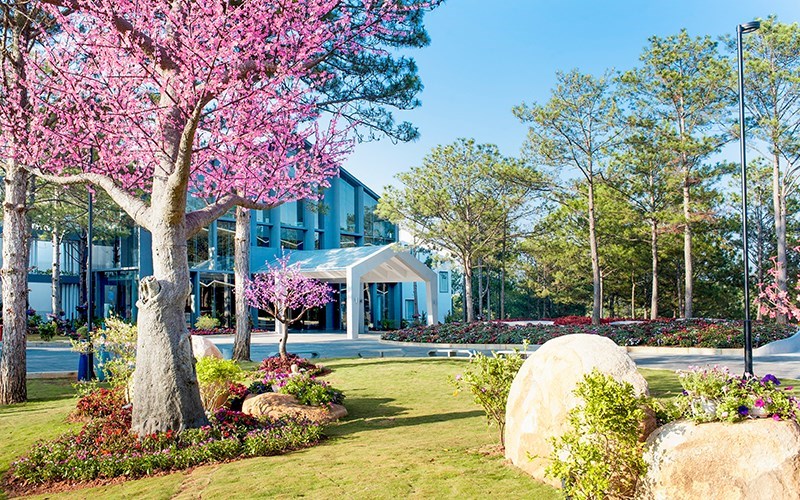 Nhanh tay book gấp 6 khách sạn/ resort có “hồ bơi nước ấm cực phê” cho chuyến nghỉ dưỡng Đà Lạt mùa cuối năm