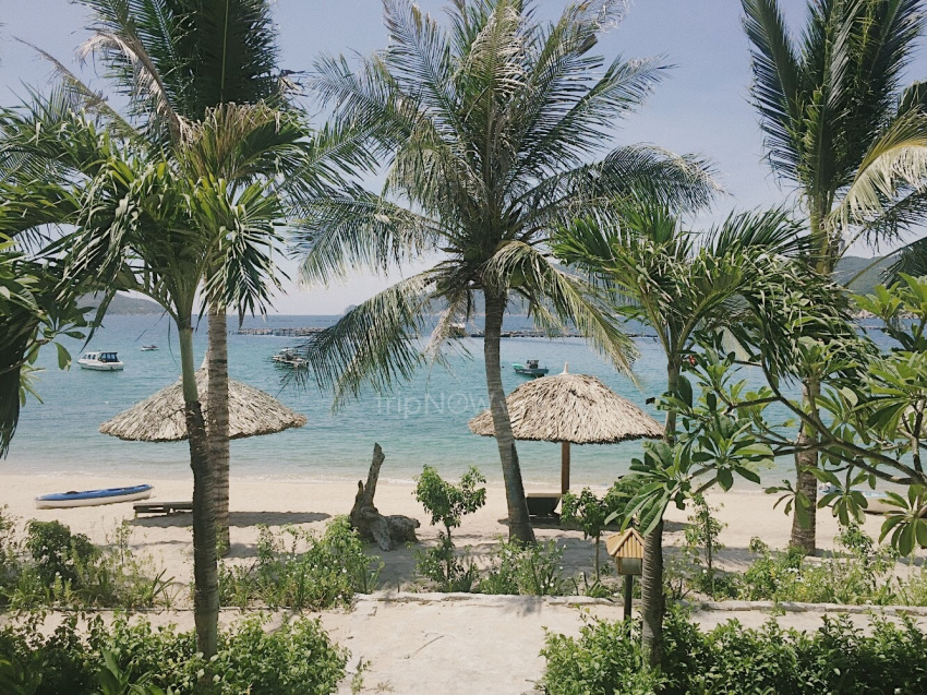 du lịch nha trang, điểm đến, khách sạn, the light coral island resort, vịnh vân phong, nghỉ dưỡng siêu sang tại “ốc đảo đẹp nhất nha trang” giá chỉ 930k/ người khi đặt phòng tại chudu24