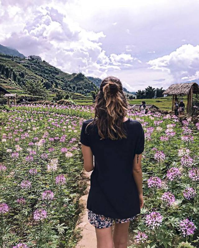 du lịch sapa, điểm đến, check-in ngay tại “ngôi làng đẹp nhất tây bắc” để được thả hồn “lạc trôi” giữa vườn hồng sapa