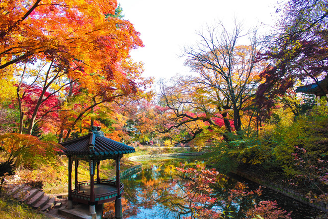 Ngắm Seoul hoài cổ trong mùa thu tháng 9