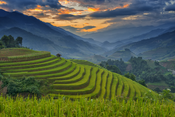 Tạp chí Time: Việt Nam là 1 trong 20 đất nước đẹp nhất cần đến thăm