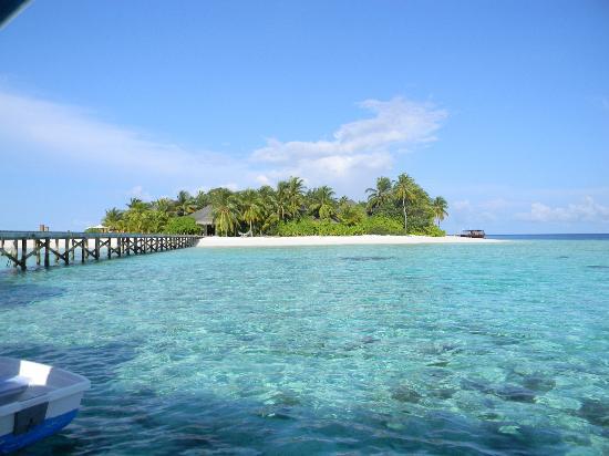 đài loan, điểm đến, hàn quốc, maldives, lễ 2/9 được nghỉ 3 ngày – làm chuyến xuất ngoại tại “3 điểm đến hot nhất” – “xin visa dễ như trở bàn tay”