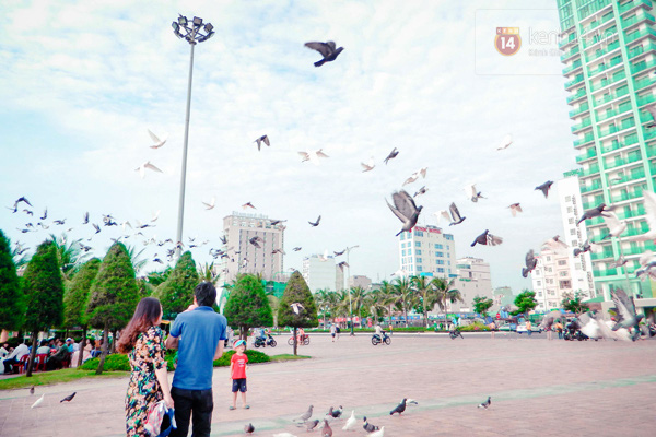 Hè này đi Đà Nẵng nhớ check in Công viên chim bồ câu Hòa Bình