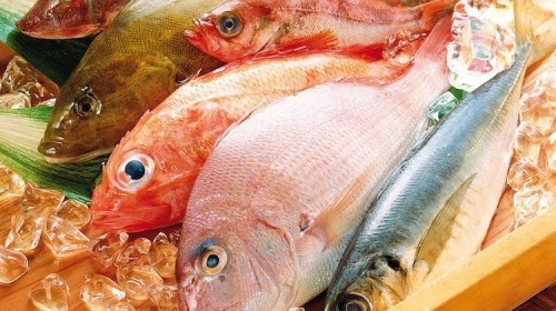 7 địa chỉ mua hải sản tại thái bình chất lượng, uy tín nhất hiện nay