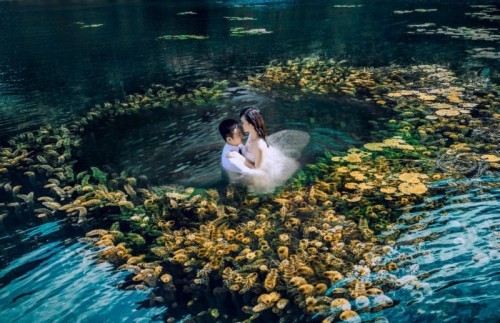 7 bí quyết khi chụp ảnh cưới dưới nước để có những bức hình đẹp và lung linh nhất