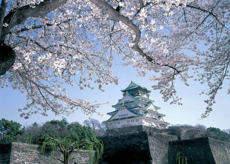 10  lý do bạn nên đi du lịch Nhật Bản