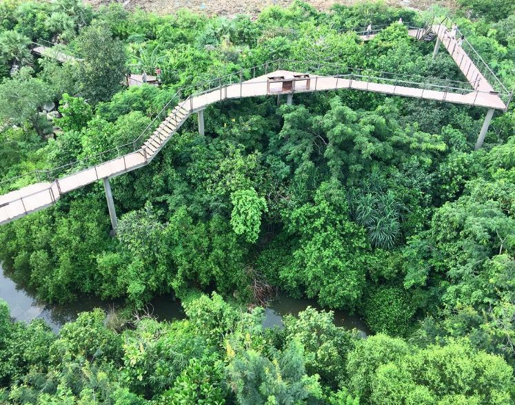 Đi bộ trên không xuyên qua “khu rừng thần tiên” được xây từ bãi rác