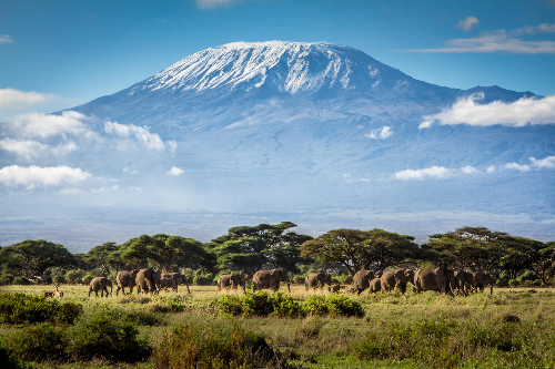 Tanzania – Điểm đến hấp dẫn tại Châu Phi