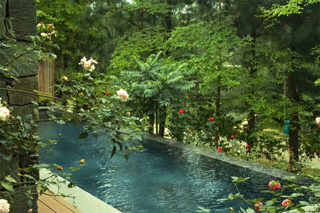 4 khu nghỉ dưỡng ‘xanh và mát’ cho kỳ nghỉ hè ngắn ngày gần Hà Nội