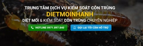 4 Dịch vụ diệt mối, côn trùng uy tín nhất tỉnh Bình Định