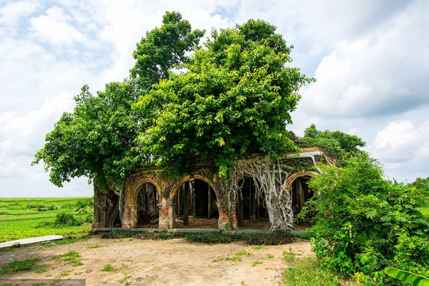 Kì bí ngôi đình hơn 110 tuổi dưới tán cây bồ đề linh thiêng ở Tiền Giang
