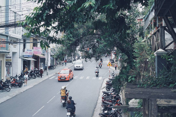 du lịch đà lạt, điểm đến, 10 lý do khiến bạn muốn ghé thăm đà lạt ngay lập tức