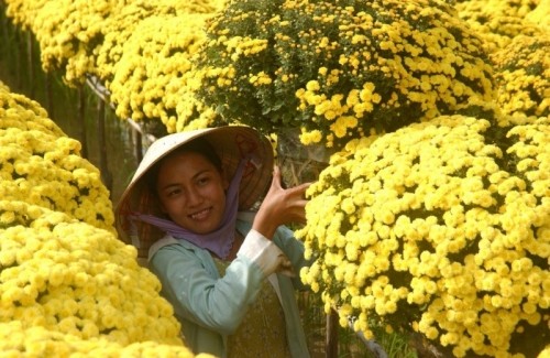 19 làng hoa nổi tiếng nhất ở việt nam