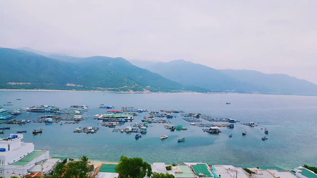 du lịch hè, du lịch nha trang, đảo bình ba, đảo bình hưng, đảo yến, điểm đến, món ngon nha trang, 5 tour du lịch 1 ngày “đáng đồng tiền bát gạo” nên khám phá khi đến nha trang