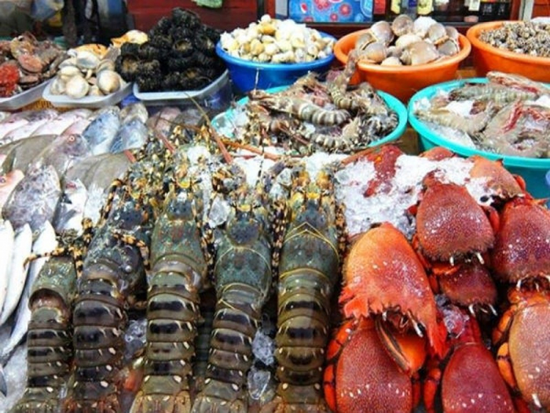 5  địa chỉ cung cấp hải sản uy tín nhất Côn Đảo