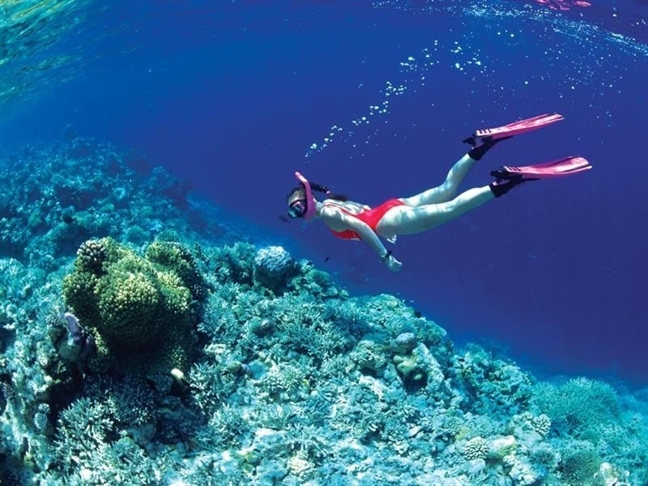 du lịch nha trang, điểm đến, 6 địa điểm lặn biển ngắm san hô đẹp nhất việt nam