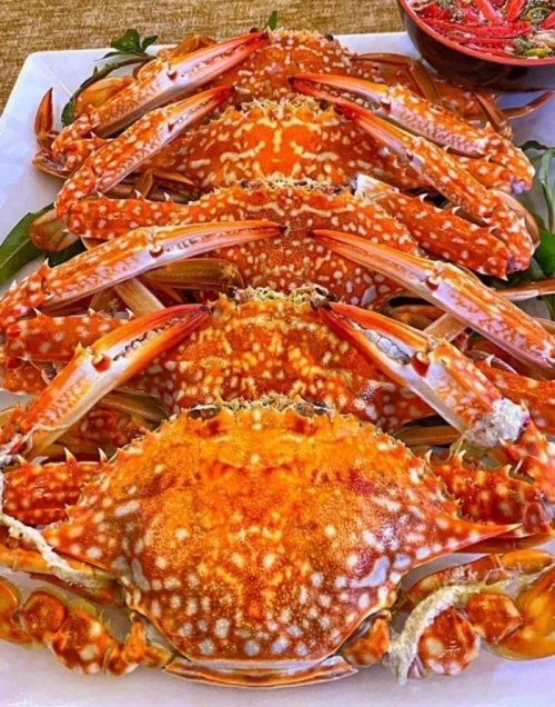 6 nhà hàng hải sản ngon nhất tỉnh lâm đồng