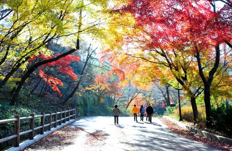 10  địa điểm chụp hình đẹp nhất ở seoul, hàn quốc