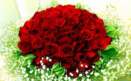 19 loài hoa ý nghĩa tặng bạn gái vào ngày valentine