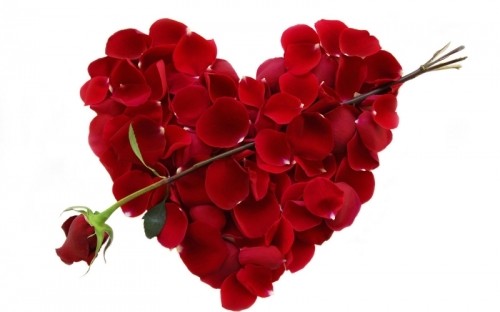 6 Lời chúc Valentine cho bạn bè hay và ý nghĩa nhất