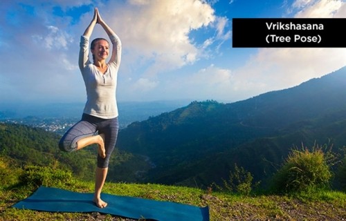 10 Tư thế yoga giúp tăng cường hệ miễn dịch trong mùa virus cúm