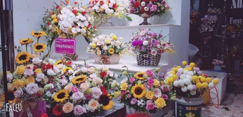 5 cửa hàng hoa xinh đẹp nhất cho ngày valentine tại tp. việt trì, phú thọ