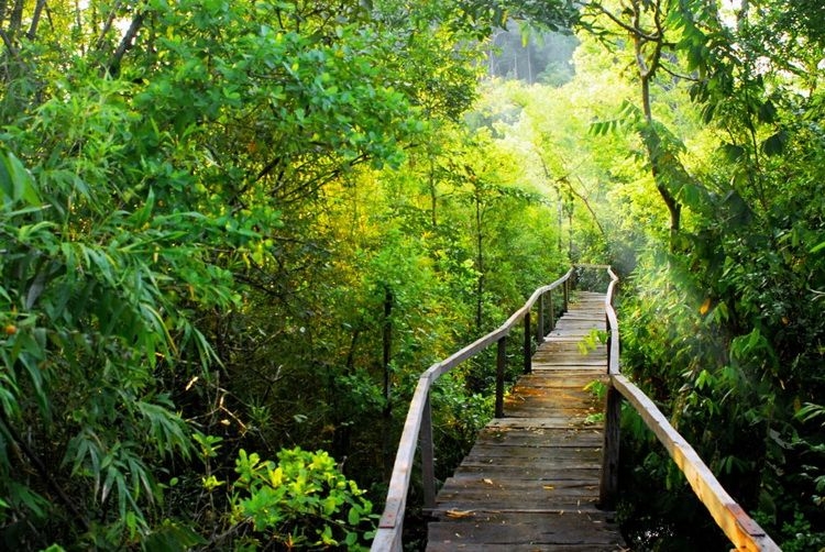 10  Vườn Quốc gia Việt Nam bạn phải ghé thăm một lần trong đời