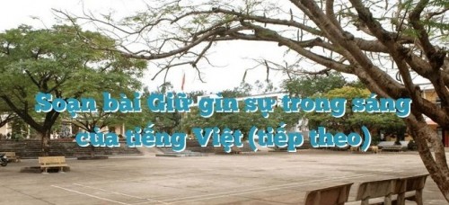 5 Bài soạn Luyện tập vận dụng kết hợp các thao tác lập luận (Ngữ Văn 12) hay nhất