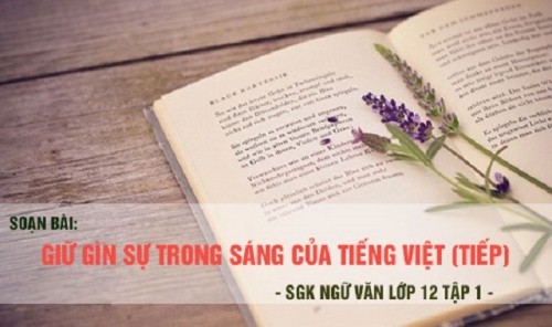 5 bài soạn luyện tập vận dụng kết hợp các thao tác lập luận (ngữ văn 12) hay nhất