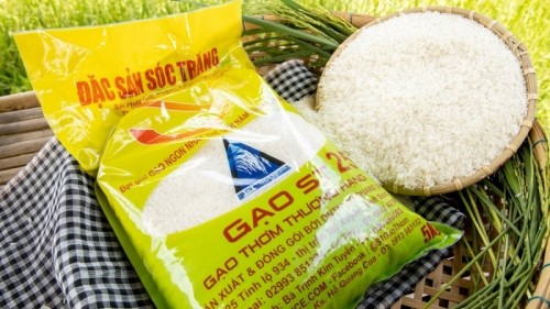 5 Đại lý bán gạo uy tín, chất lượng nhất tỉnh Lâm Đồng